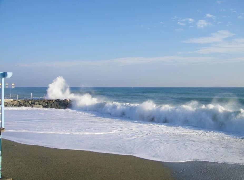 알비솔라마리나 Le Finestre Sul Mare 아파트 외부 사진